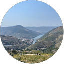 Photo de profil de Simon Ley